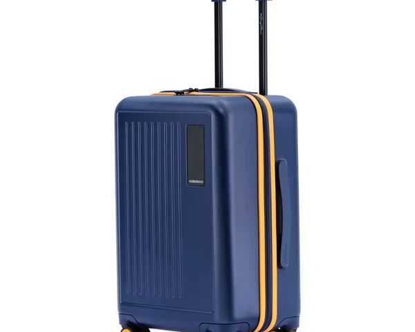 best-luggage-brands-in-india