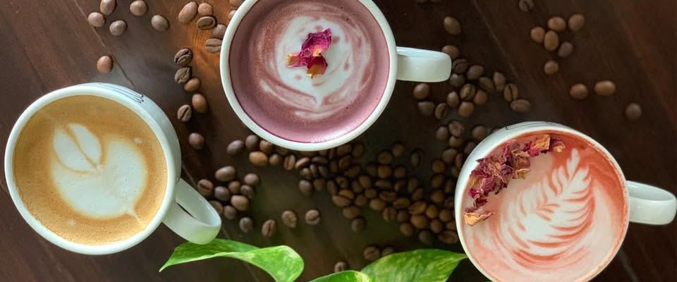 premium-coffee-powder-online-big-0