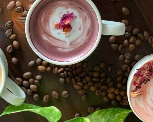 premium-coffee-powder-online