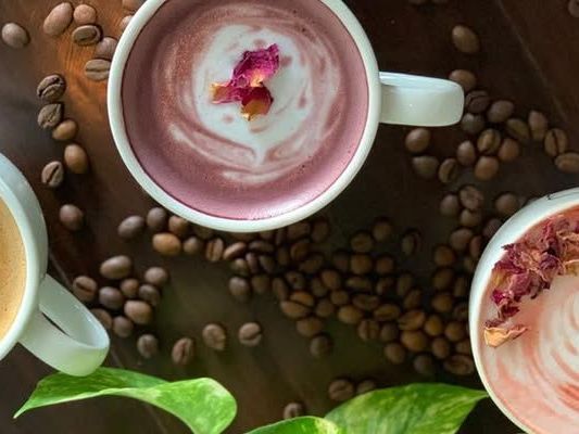 premium-coffee-powder-online
