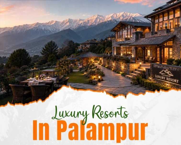 luxury-resorts-in-palampur-for-relaxing-stay