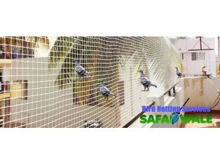 best-anti-bird-net-in-gurgaon-pigeon-net-installation-near-me-small-0