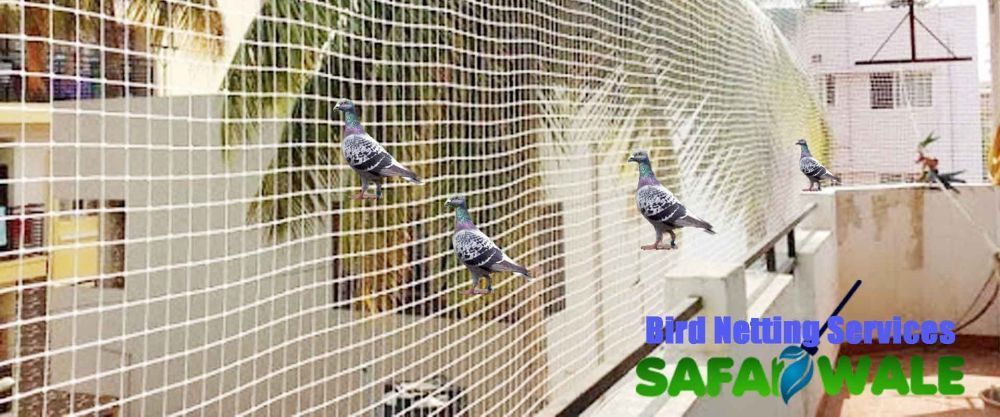 pigeon-safety-nets-in-greater-noida-balcony-bird-protection-big-0