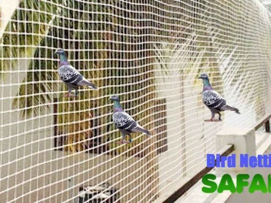 pigeon-safety-nets-in-greater-noida-balcony-bird-protection
