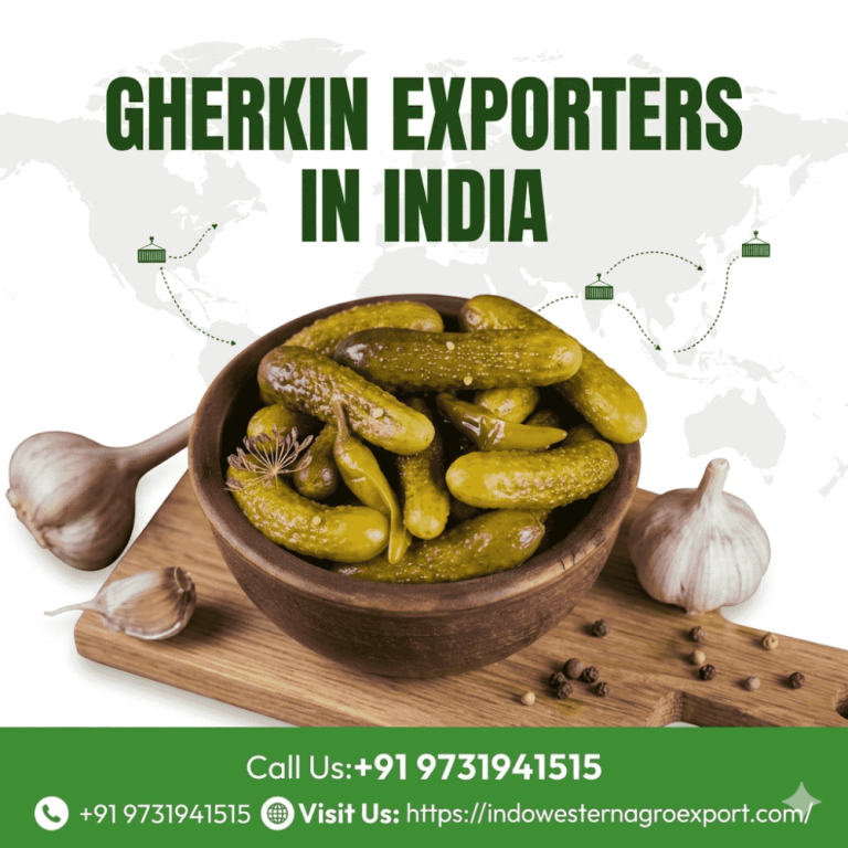 indian-gherkins-supplier-for-global-food-importers-big-0