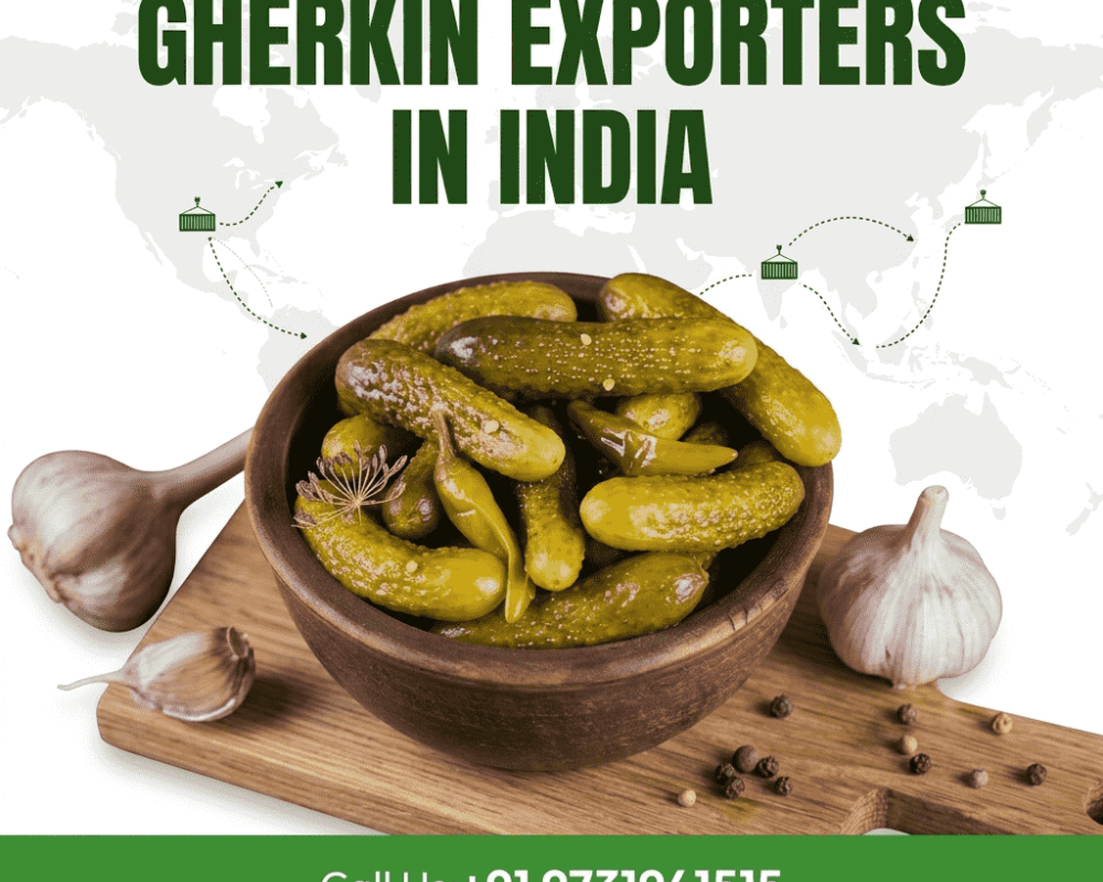 indian-gherkins-supplier-for-global-food-importers