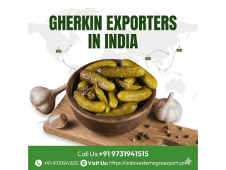 indian-gherkins-supplier-for-global-food-importers-small-0
