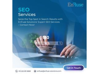 seize-the-top-spot-in-search-results-with-expert-seo-services-small-0