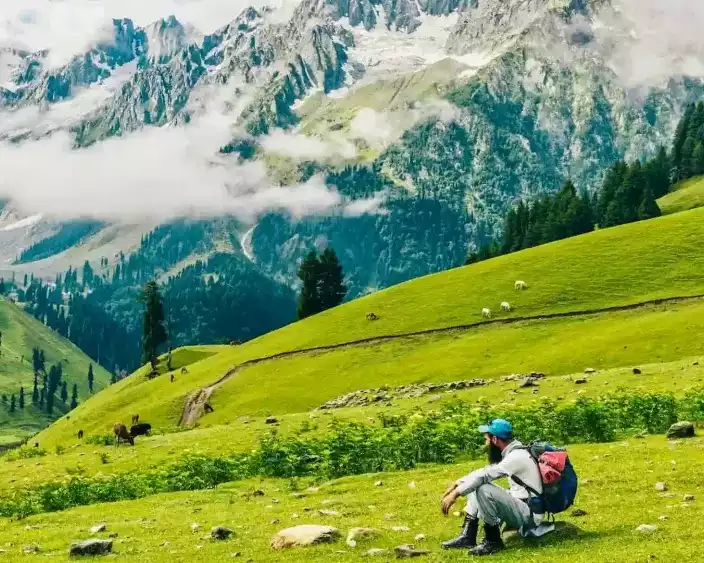 kashmir-vs-manali-in-summer
