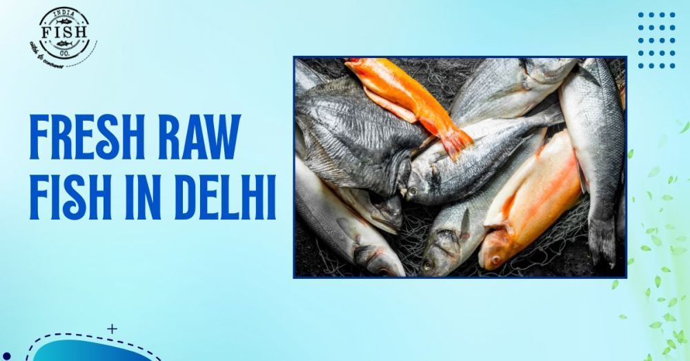 fresh-raw-fish-in-delhi-delivered-with-quality-and-hygiene-big-0