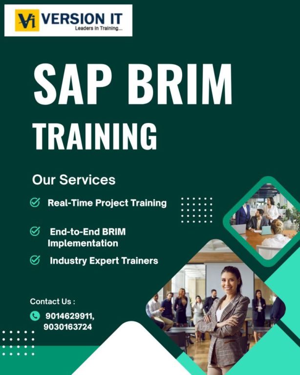 best-sap-brim-training-institute-in-hyderabad-big-0