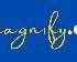 best-digital-marketing-agency-in-mumbai-adsmagnify