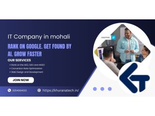 seo-company-in-zirakpur-small-0