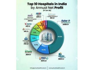 best-healthcare-marketing-agency-in-india-prius-healthcare-small-0