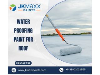 modern-water-proofing-paint-for-roof-safety-small-0