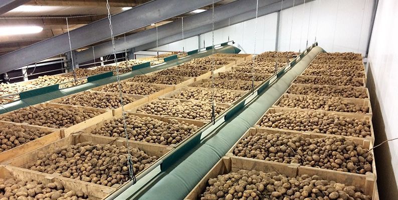 potato-cold-storage-manufacturer-in-rajkot-big-0