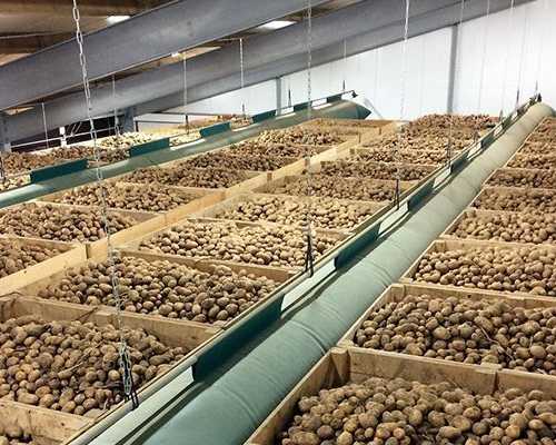 potato-cold-storage-manufacturer-in-rajkot
