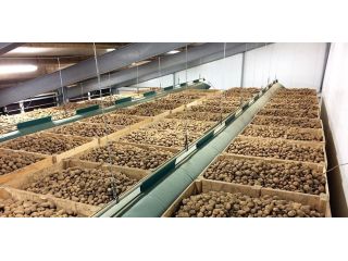 potato-cold-storage-manufacturer-in-rajkot-small-0