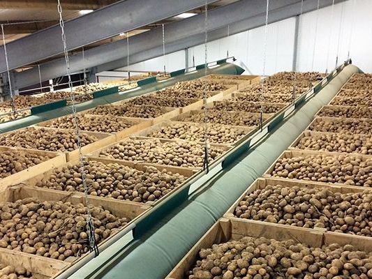 potato-cold-storage-manufacturer-in-rajkot