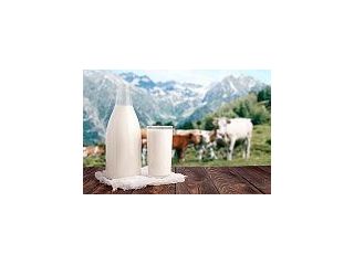 pure-and-fresh-a2-milk-online-india-with-natural-nutrition-small-0