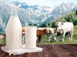pure-and-fresh-a2-milk-online-india-with-natural-nutrition