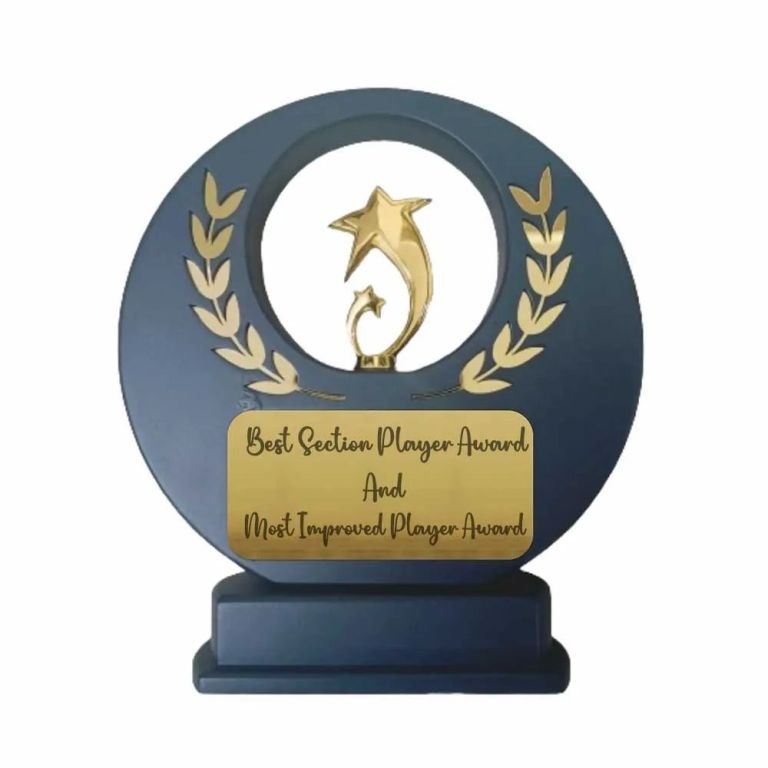 gold-star-achievement-award-quapri-big-0