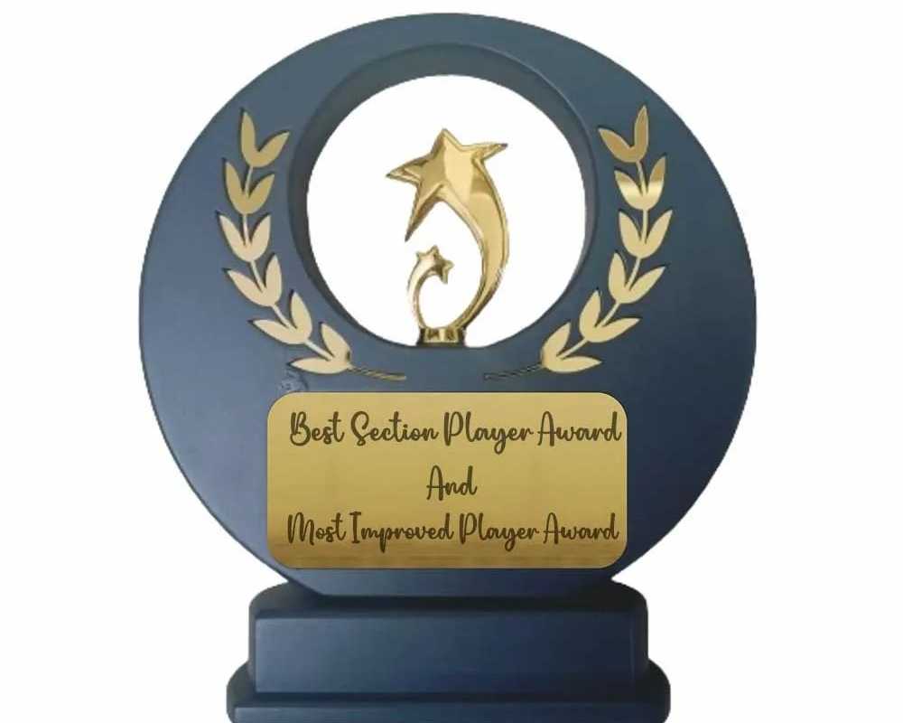 gold-star-achievement-award-quapri