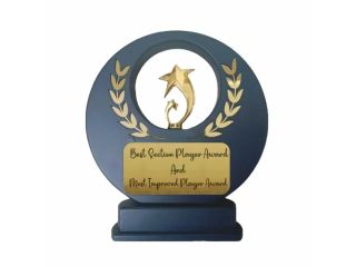 gold-star-achievement-award-quapri-small-0