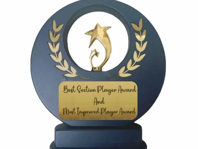 gold-star-achievement-award-quapri