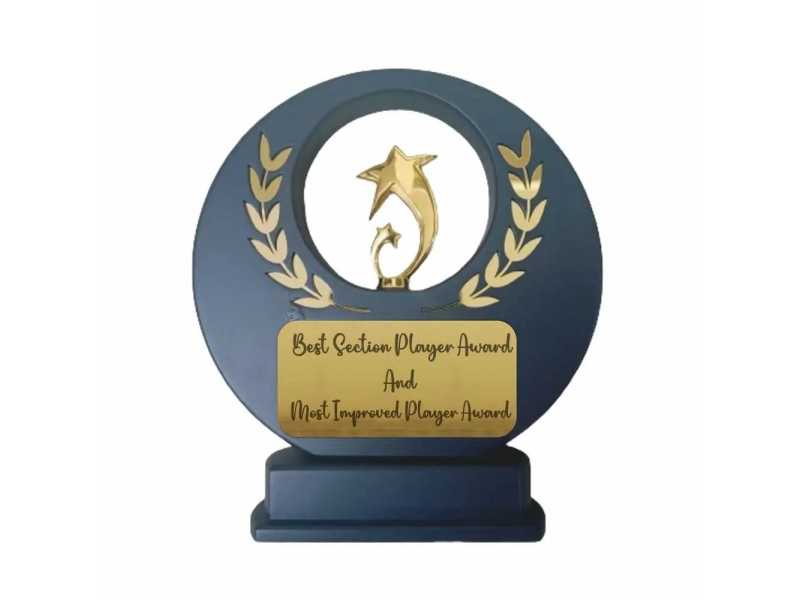 gold-star-achievement-award-quapri-small-0