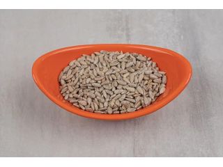 sunflower-seeds-manufacturers-small-0