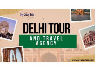 best-delhi-tour-and-travel-agency-for-family-vacations-small-0