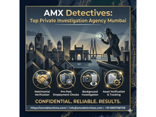 amx-detectives-top-private-investigation-agency-mumbai-small-0