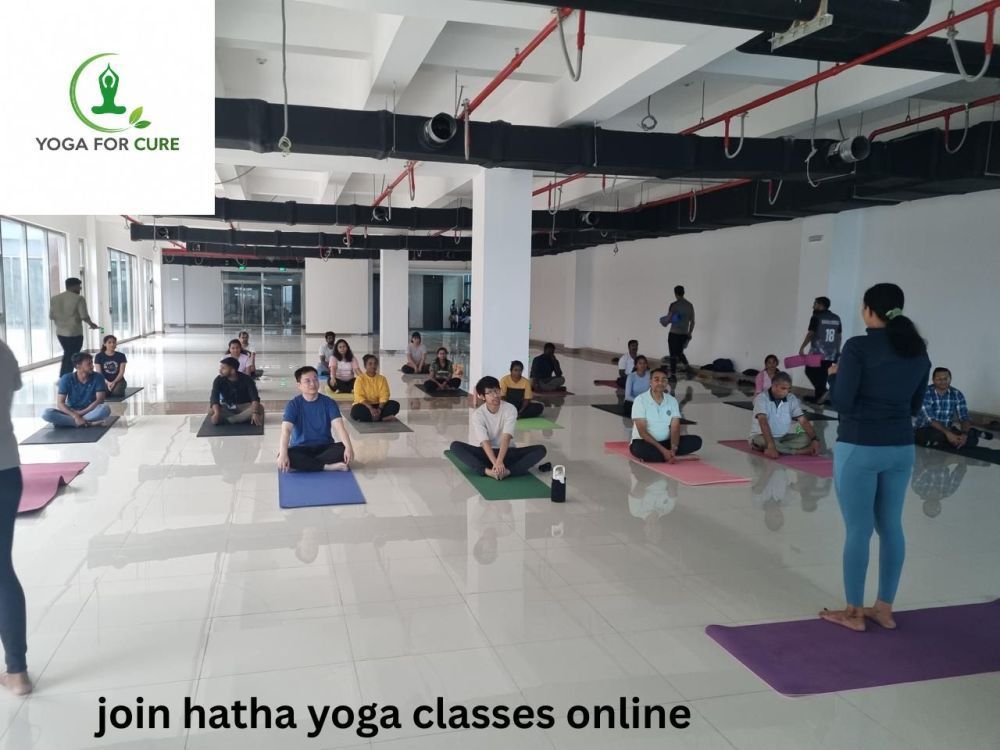 are-you-ready-to-join-hatha-yoga-classes-online-big-0