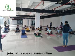 are-you-ready-to-join-hatha-yoga-classes-online-small-0