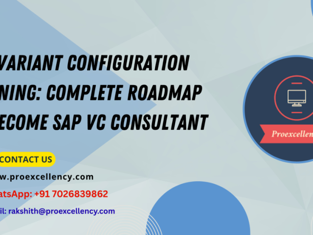learn-sap-variant-configuration-online-with-real-time-training