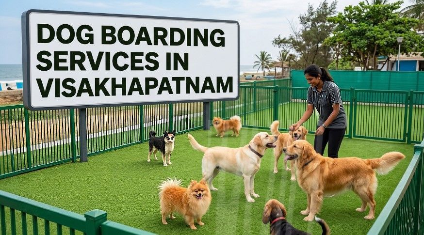 dog-boarding-services-in-visakhapatnam-big-0