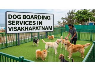 dog-boarding-services-in-visakhapatnam-small-0