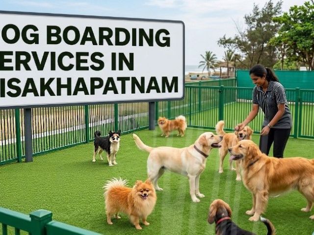 dog-boarding-services-in-visakhapatnam