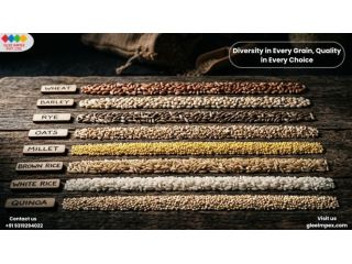 trusted-grains-exporter-in-india-premium-quality-by-glee-impex-small-0