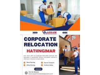 packers-and-movers-in-hatsingimari-small-0