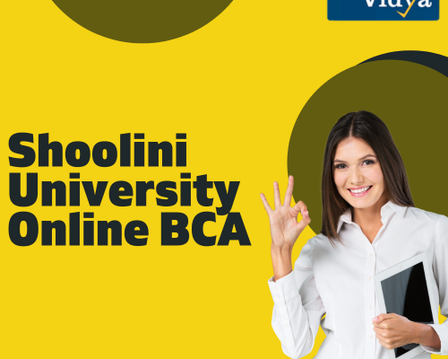 transition-into-tech-seamlessly-shoolini-university-online-bca