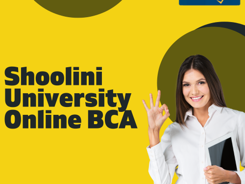 transition-into-tech-seamlessly-shoolini-university-online-bca