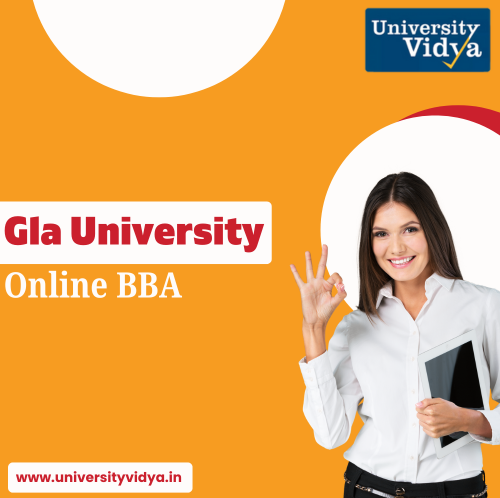 master-digital-commerce-strategies-gla-university-online-bba-big-0