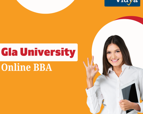 master-digital-commerce-strategies-gla-university-online-bba