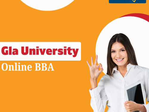 master-digital-commerce-strategies-gla-university-online-bba