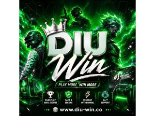 beginner-tips-and-features-available-on-diu-win-small-0