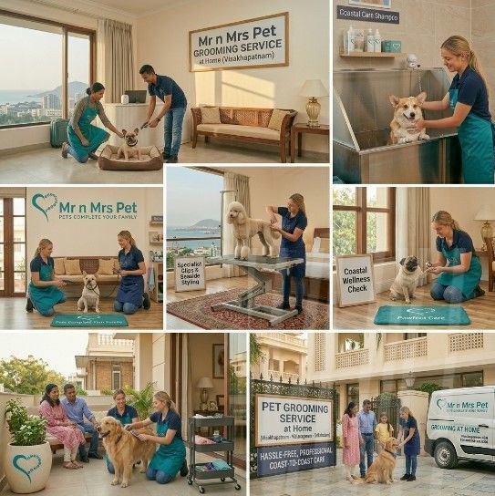 pet-grooming-service-at-home-in-visakhapatnam-big-0