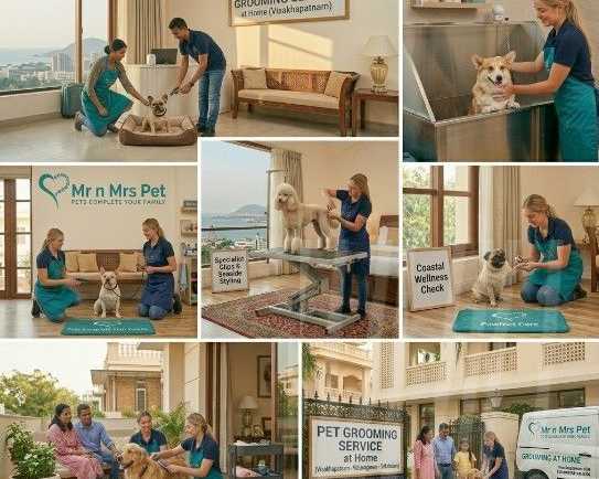 pet-grooming-service-at-home-in-visakhapatnam