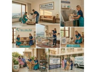 pet-grooming-service-at-home-in-visakhapatnam-small-0